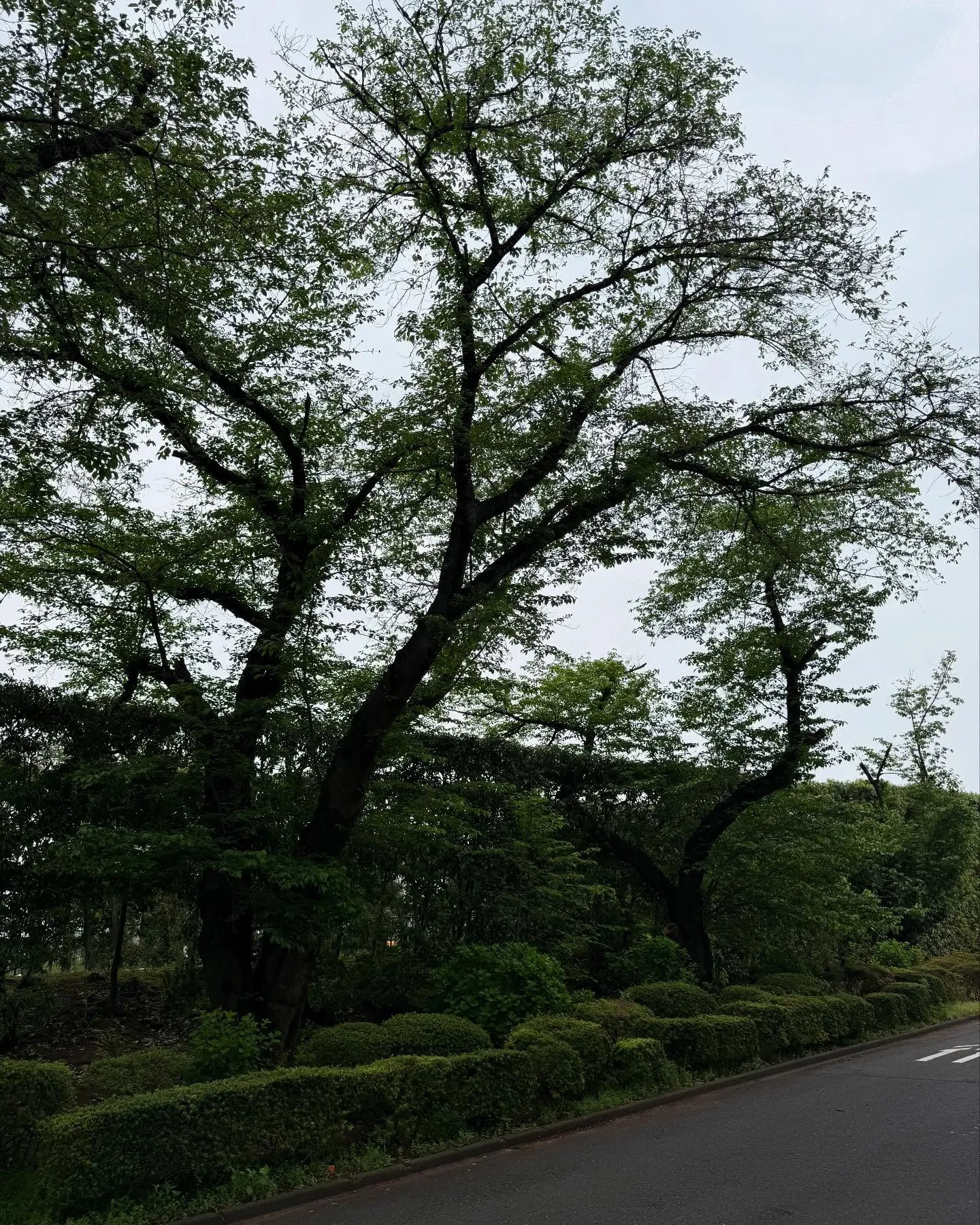 今日は我孫子で空調配管移設の現地調査に行ってきたよ！🚗💨